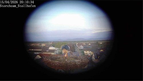 MWSnap080.jpg