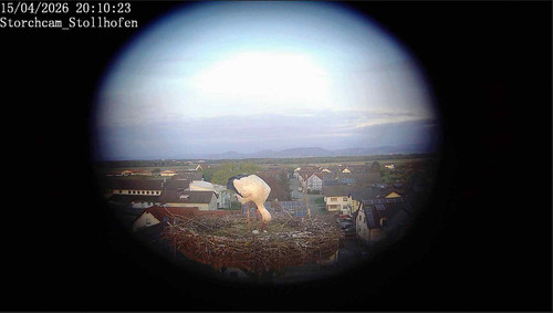 MWSnap079.jpg