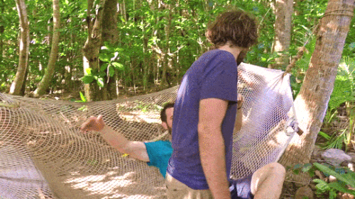 1.gif