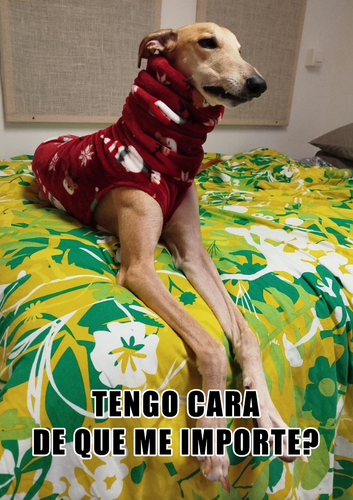 166fcd86855f.png