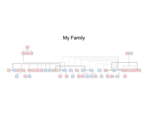 My Family 15 Apr 2026 1 1.jpg