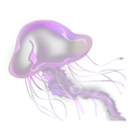 5623 purple jellyfish.png