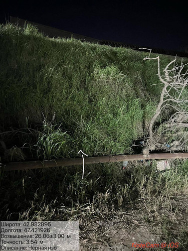 photo 14 2026 04 15 23 34 06.jpg