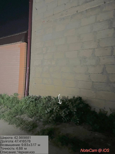 photo 16 2026 04 15 23 34 06.jpg