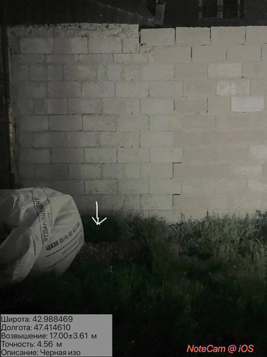 photo 20 2026 04 15 23 34 06.jpg