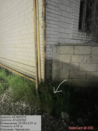 photo 4 2026 04 15 23 34 06.jpg