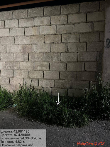 photo 5 2026 04 15 23 34 06.jpg