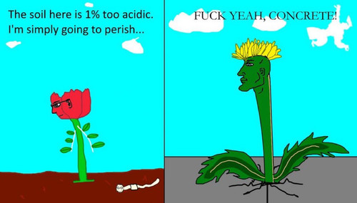274d00df8c20.jpg