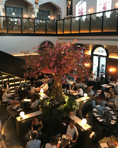 german gymnasium.jpg