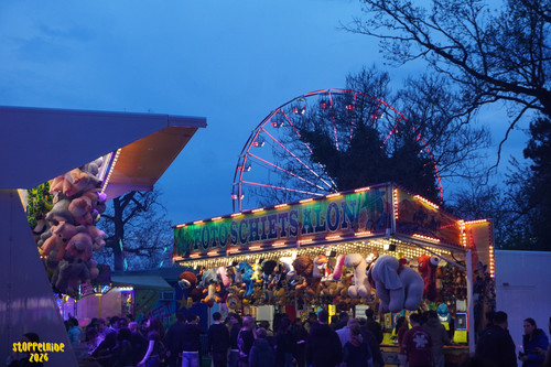 DSC08514 Watermarked.jpg