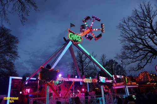 DSC08503 Watermarked.jpg