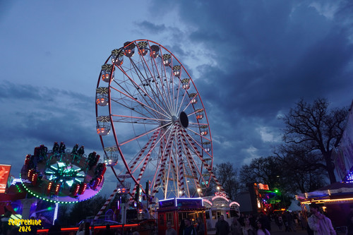 DSC08530 Watermarked.jpg