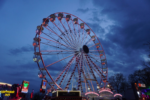 DSC08535 Watermarked.jpg