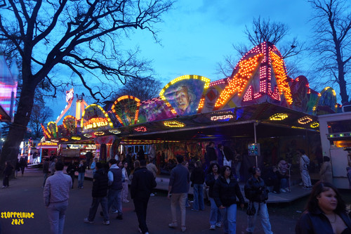 DSC08517 Watermarked.jpg