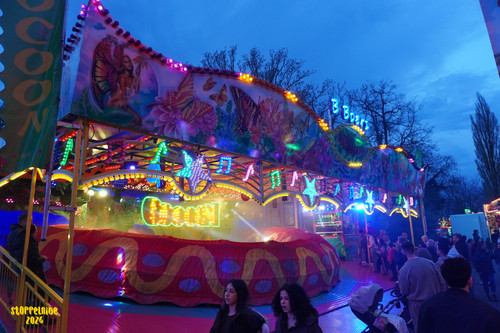 DSC08521 Watermarked.jpg