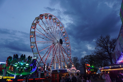 DSC08529 Watermarked.jpg