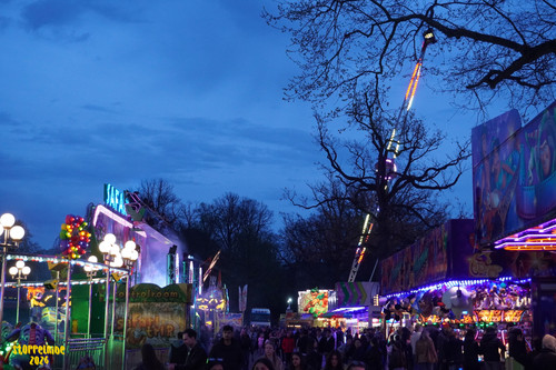 DSC08545 Watermarked.jpg