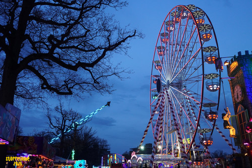 DSC08542 Watermarked.jpg