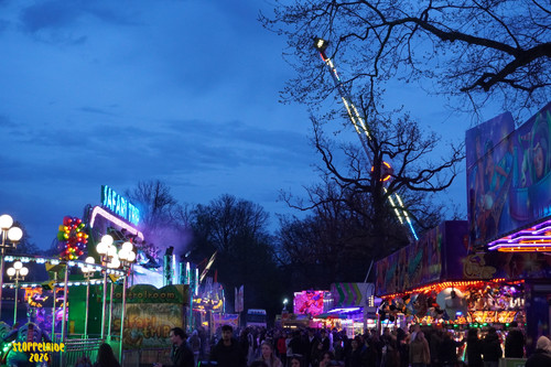 DSC08546 Watermarked.jpg