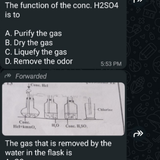 temp.png