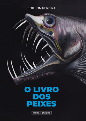 capa 3.png