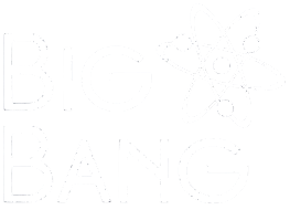 logo blanco bigbang.png