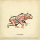acd823a0cbf4.png