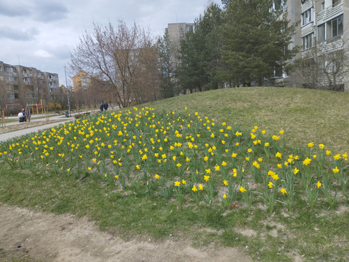 IMG 20260413 151255.jpg