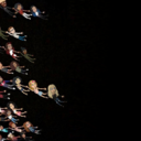 8e835ba1f75d.png