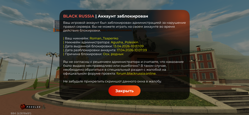 IMG 4454.png