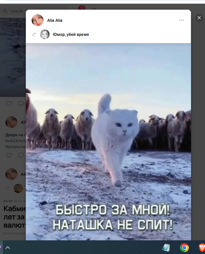 Screenshot 10.png