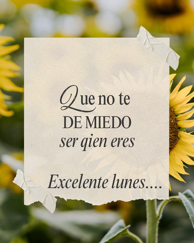 Lunes 13042026.jpg