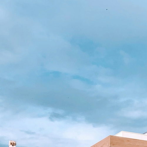 445e02a6de5e.png