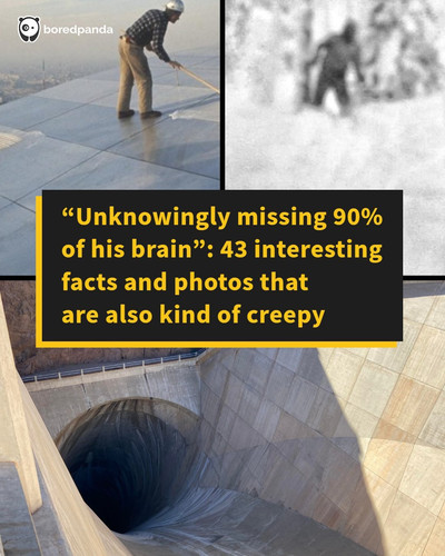 weird facts pics oddity.jpg