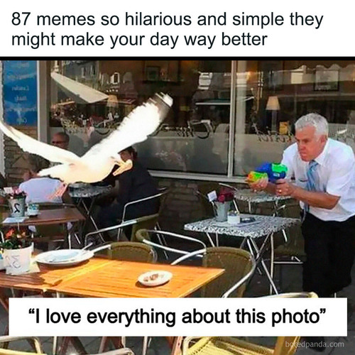 funny relatable clean memes.jpg