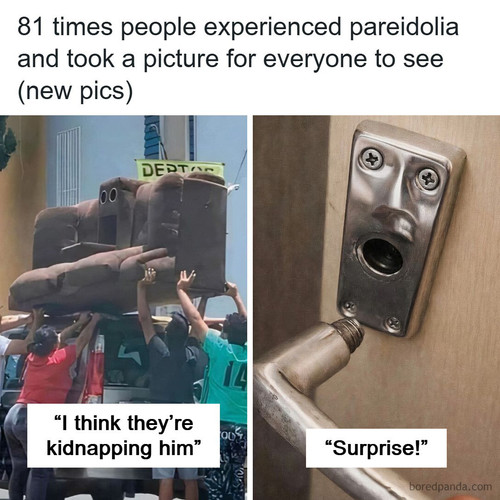 curiosities pics.jpg