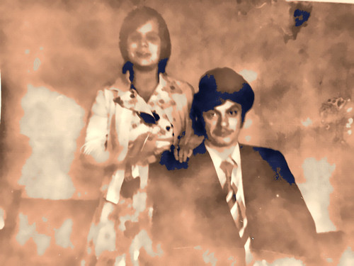 0e6b8261392a.jpg