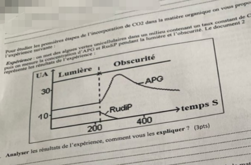 temp.png