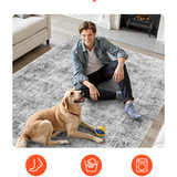 us%2FJXZXDT6X9FTH013AF001V0%2Foriginal img v1%2Farea rugs f6