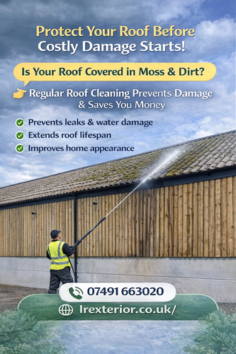 Roof cleaning service advertisement.png
