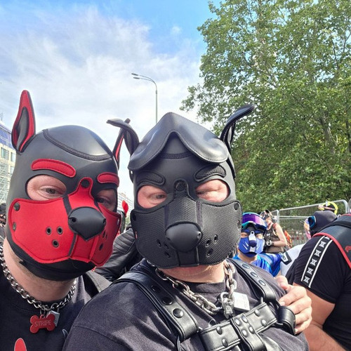 AlphaWolf Stripe.jpg