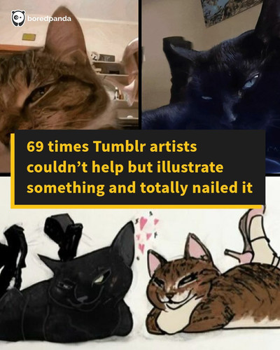 illustrated tumblr posts.jpg