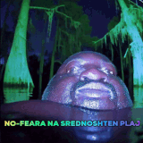 giphy.gif