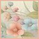 Bloemen Caitlinn ebb7a1.jpg