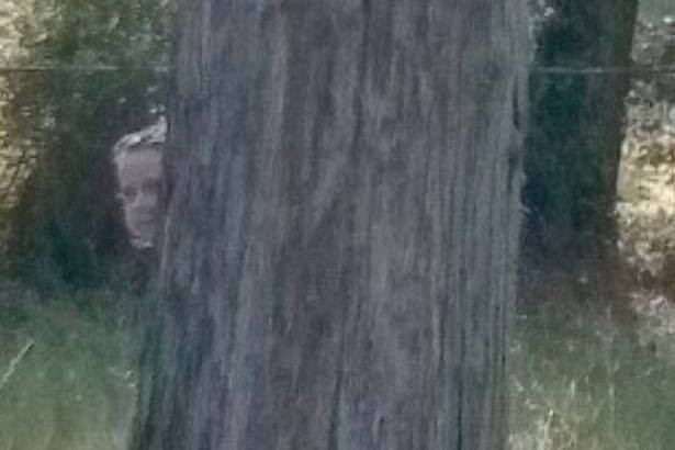 [Image: BwM7y2n.jpg]