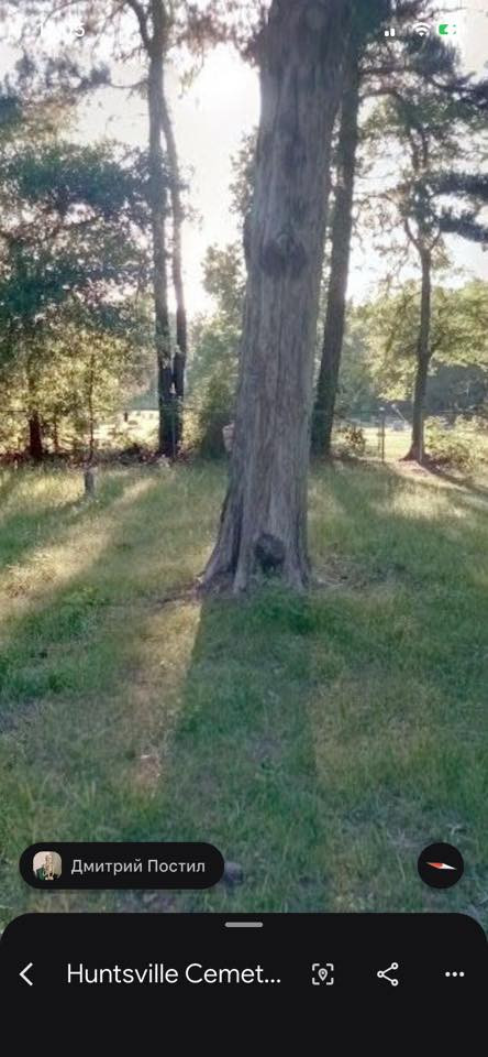 [Image: BwMSVt4.jpg]