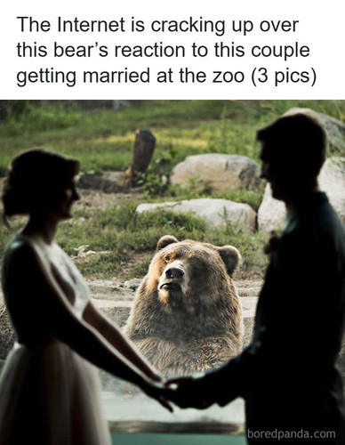 photobomb wedding.jpg