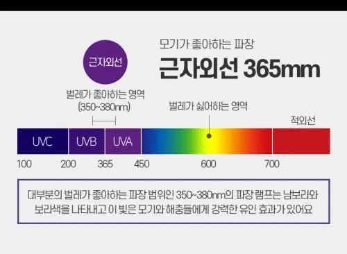 01 ia ib100 20.webp