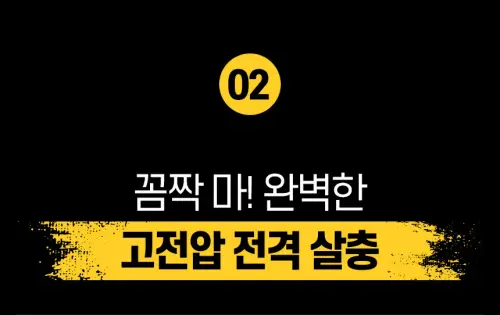 01 ia ib100 21.webp