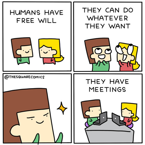 1000107810.jpg